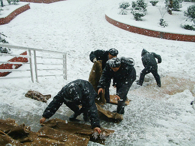 保障业主出行“冰灾除雪”
