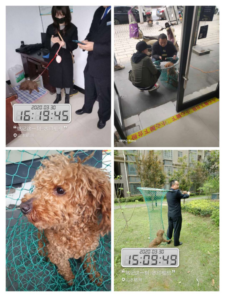 威廉希尔willianhill,常德物业管理,物业企业,威廉希尔willianhill 威廉希尔willianhill,常德物业管理,物业企业,威廉希尔willianhill