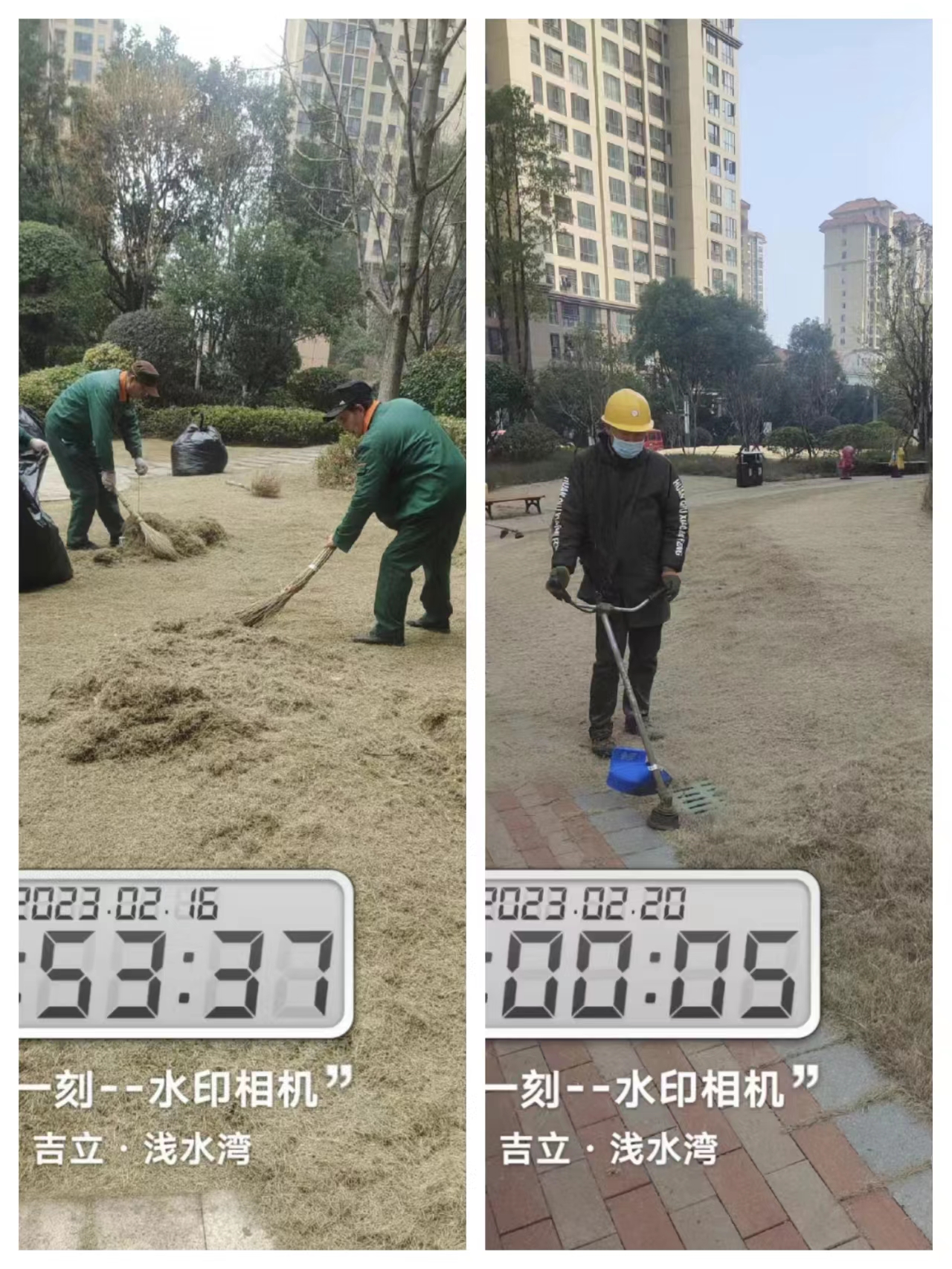 常德物业管理,物业企业,威廉希尔willianhill